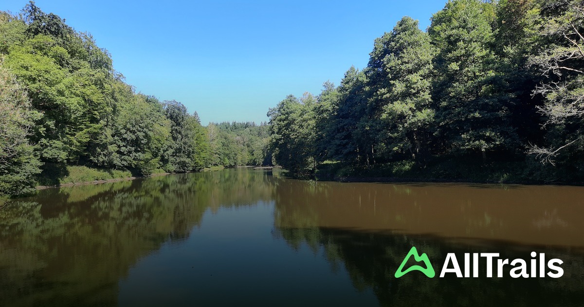 Étang du Pont d'Oye - hikes and trails to get you there | AllTrails