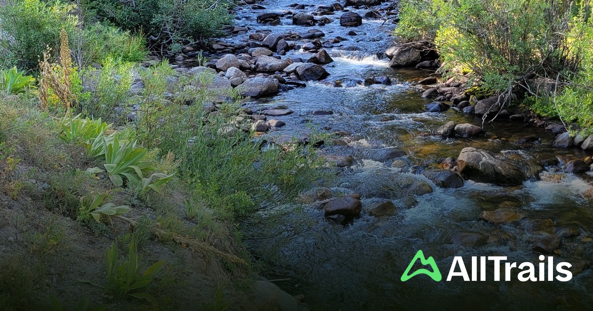 Chambers Lake hikes and trails - Us Colorado Bellvue Chambers Lake 1080409 20250328112435933836 1200x630 3 41743209780 