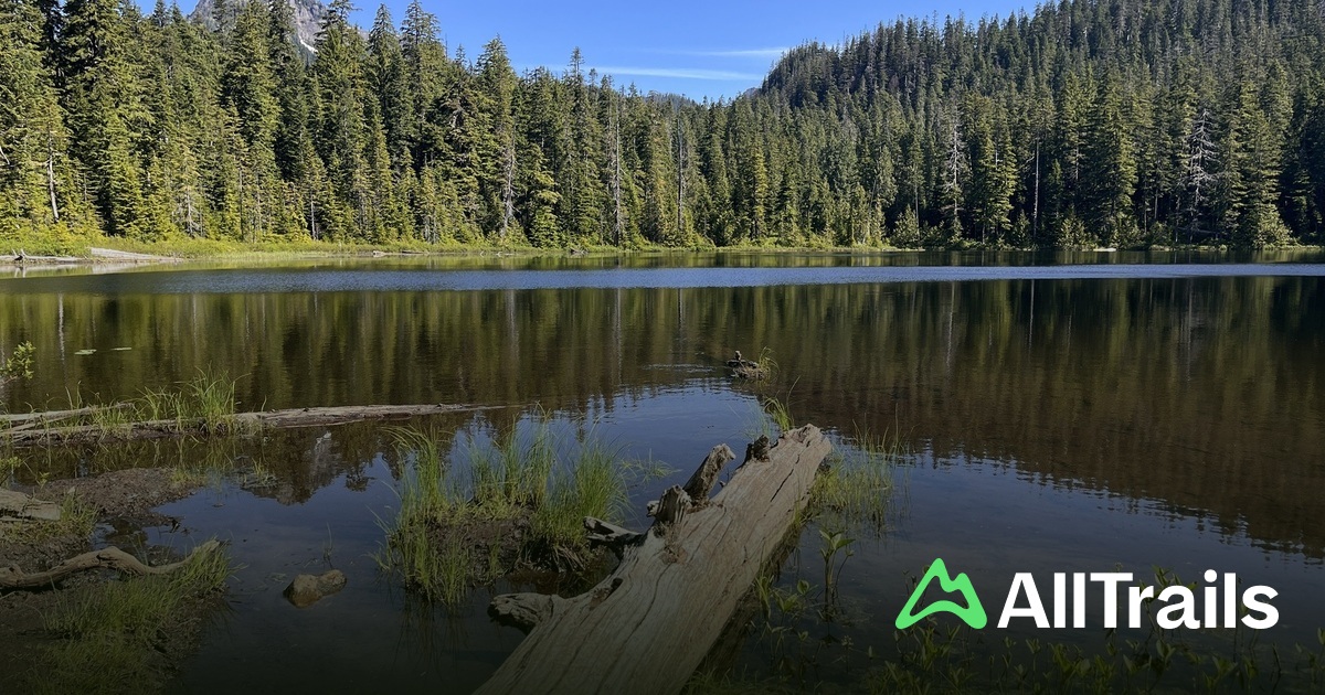 Beaver Lake - hikes and trails to get you there | AllTrails