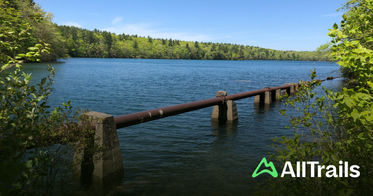 Tarbox Pond - hikes and trails to get you there | AllTrails