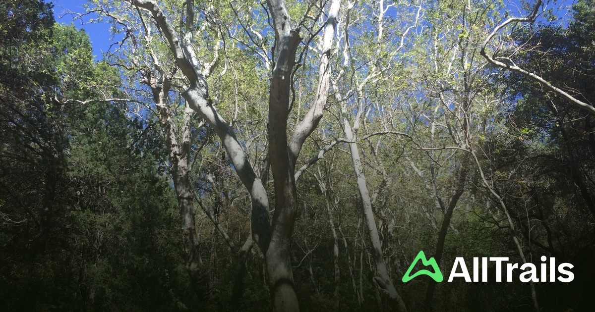 Kent Spring - hikes and trails to get you there | AllTrails