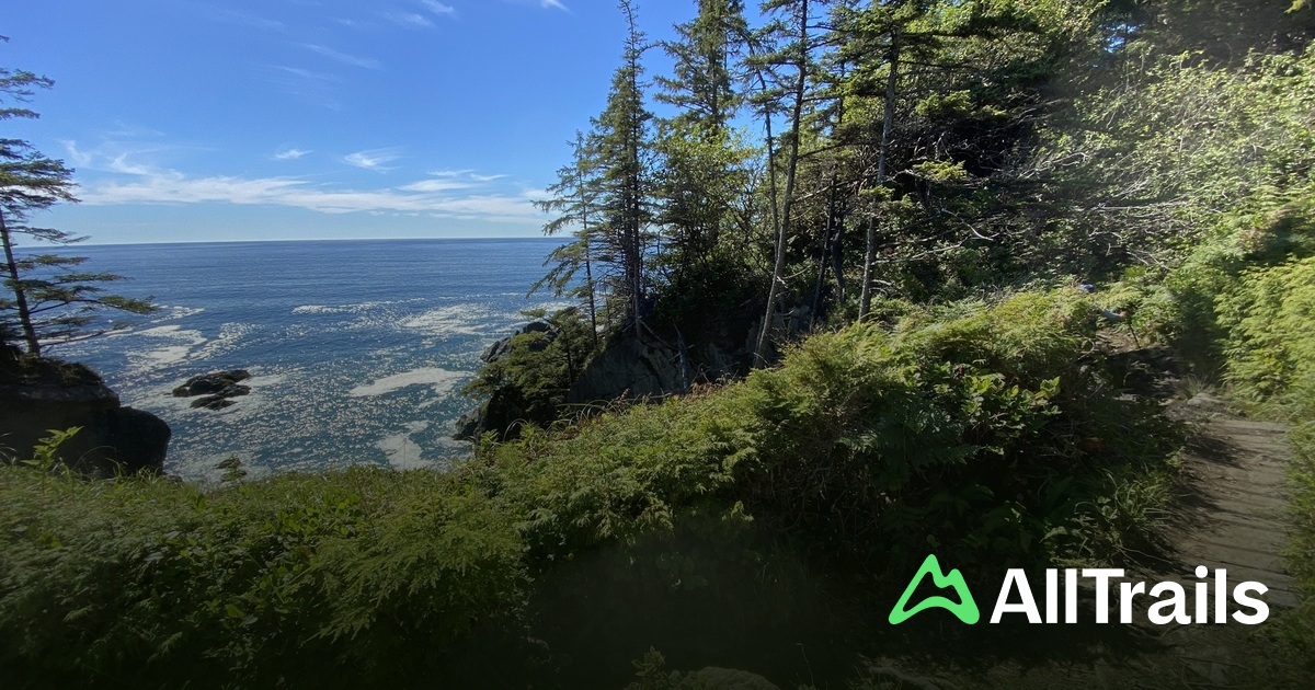 Nit Nat Nitinat River - hikes and trails to get you there | AllTrails