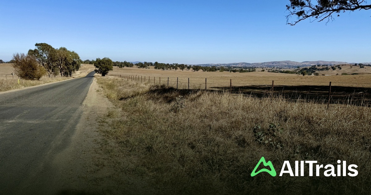 I migliori sentieri vicino a The Williamson Building | AllTrails