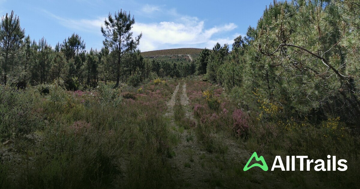 Jardim do adro da igreja velha - hikes and trails to get you there ...