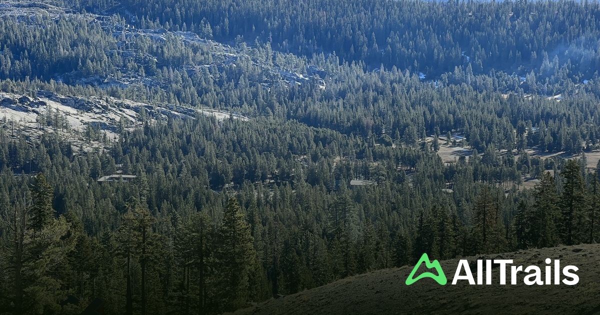 Bloods Point - hikes and trails to get you there | AllTrails