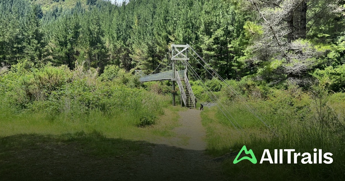 Roding River - hikes and trails to get you there | AllTrails