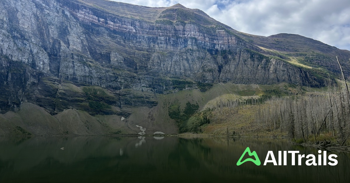 Akamina Ridge - hikes and trails to get you there | AllTrails