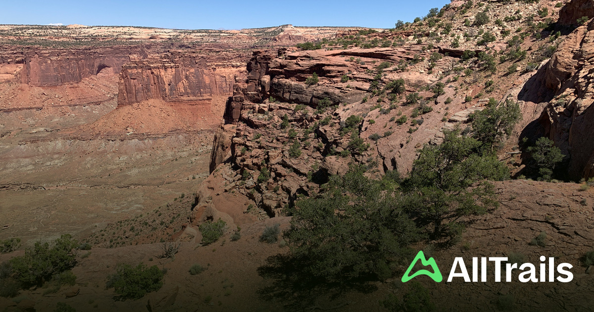 Alcove Spring - hikes and trails to get you there | AllTrails