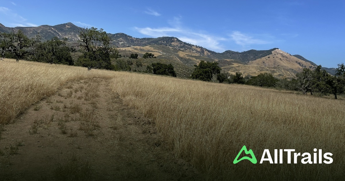 Sycamore Valley Ranch - hikes and trails to get you there | AllTrails