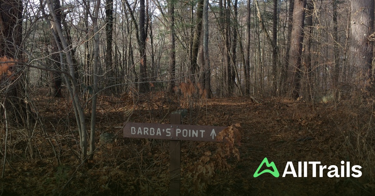 NHESP Certified Vernal Pool - hikes and trails to get you there | AllTrails