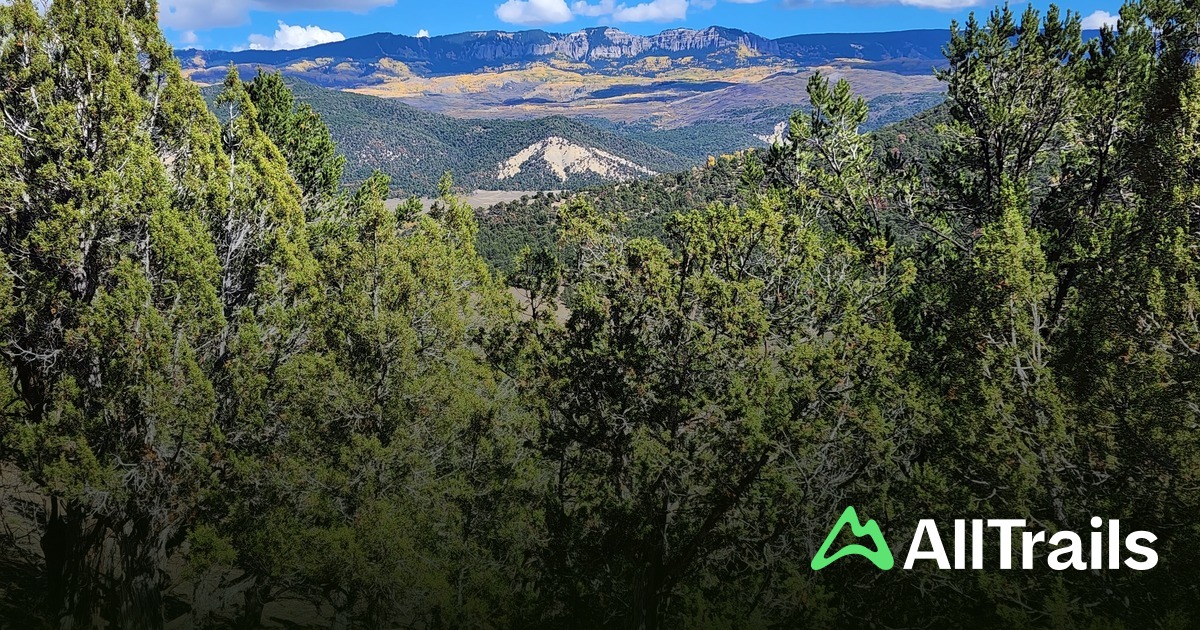 Elk Ridge Campground - hikes and trails to get you there | AllTrails