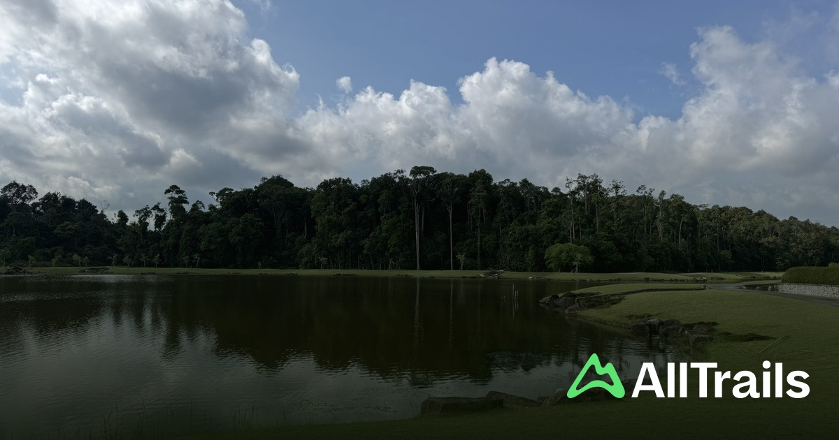 Lagoi Bay Lake - hikes and trails to get you there | AllTrails