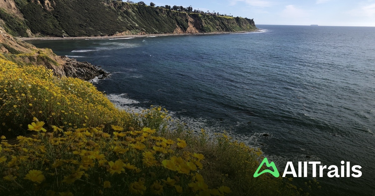 Bluff Cove - hikes and trails to get you there | AllTrails