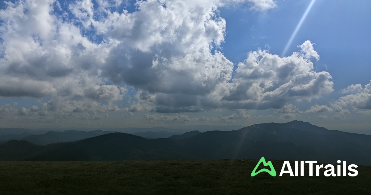 Howqua Gap Hut - hikes and trails to get you there | AllTrails