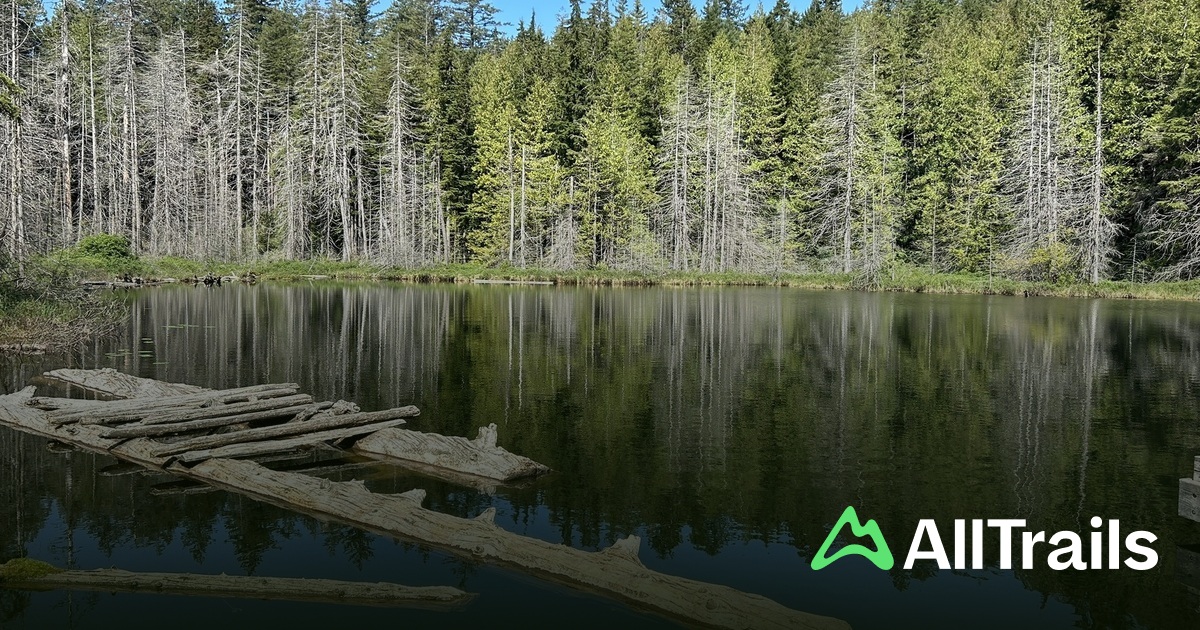 Whyty Whyte Lake - hikes and trails to get you there | AllTrails