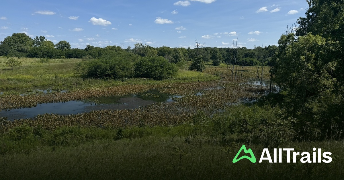 Best trails near Campground No.2 | AllTrails