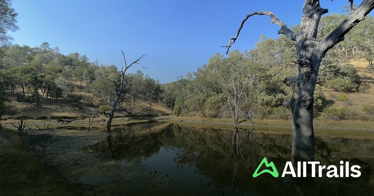 Bear Springs - hikes and trails to get you there | AllTrails