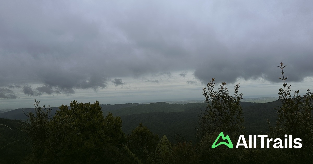 Horowhenua Lookout - hikes and trails to get you there | AllTrails