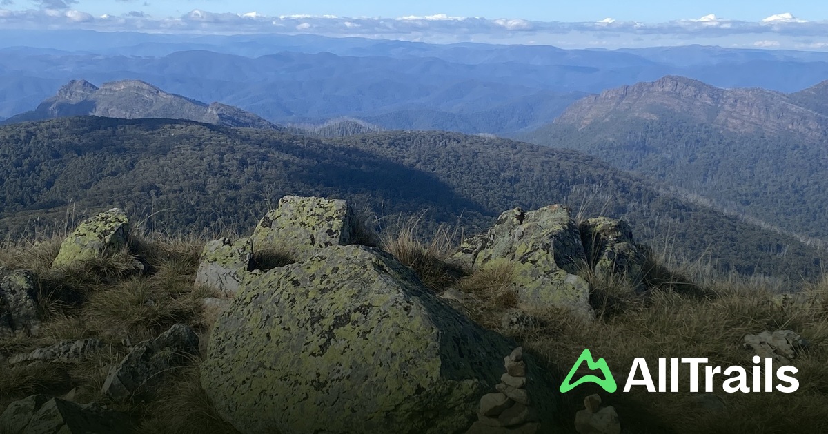 Wabonga Mustering Flat - hikes and trails to get you there | AllTrails