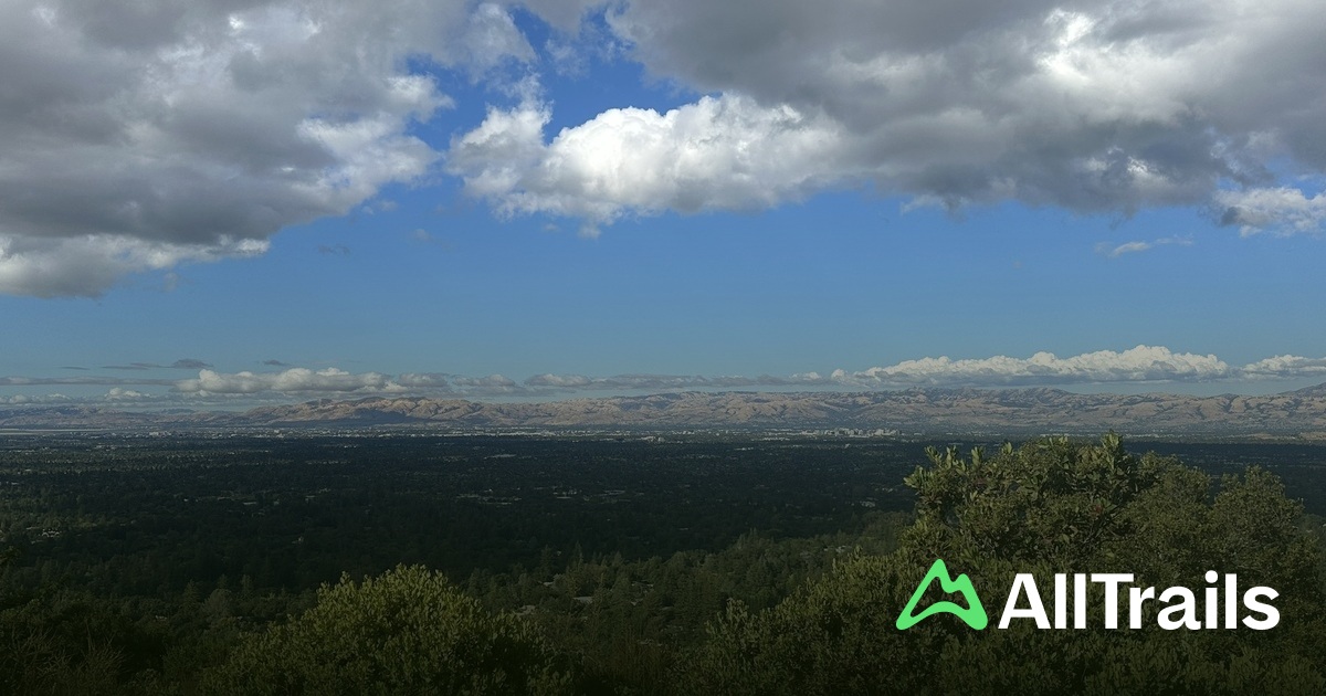 Lookout Point - hikes and trails to get you there | AllTrails