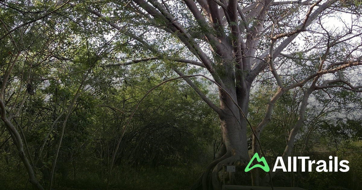 Colima Forests Colección Agroforestal y Medicinal - hikes and trails to get you there ...