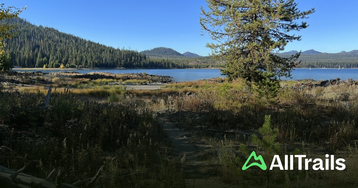 Beach Day Use Area - hikes and trails to get you there | AllTrails