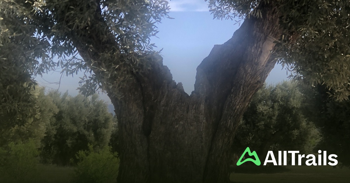 Calaceite Spain Map.pdf Best trails near Cárcel de Calaceite | AllTrails