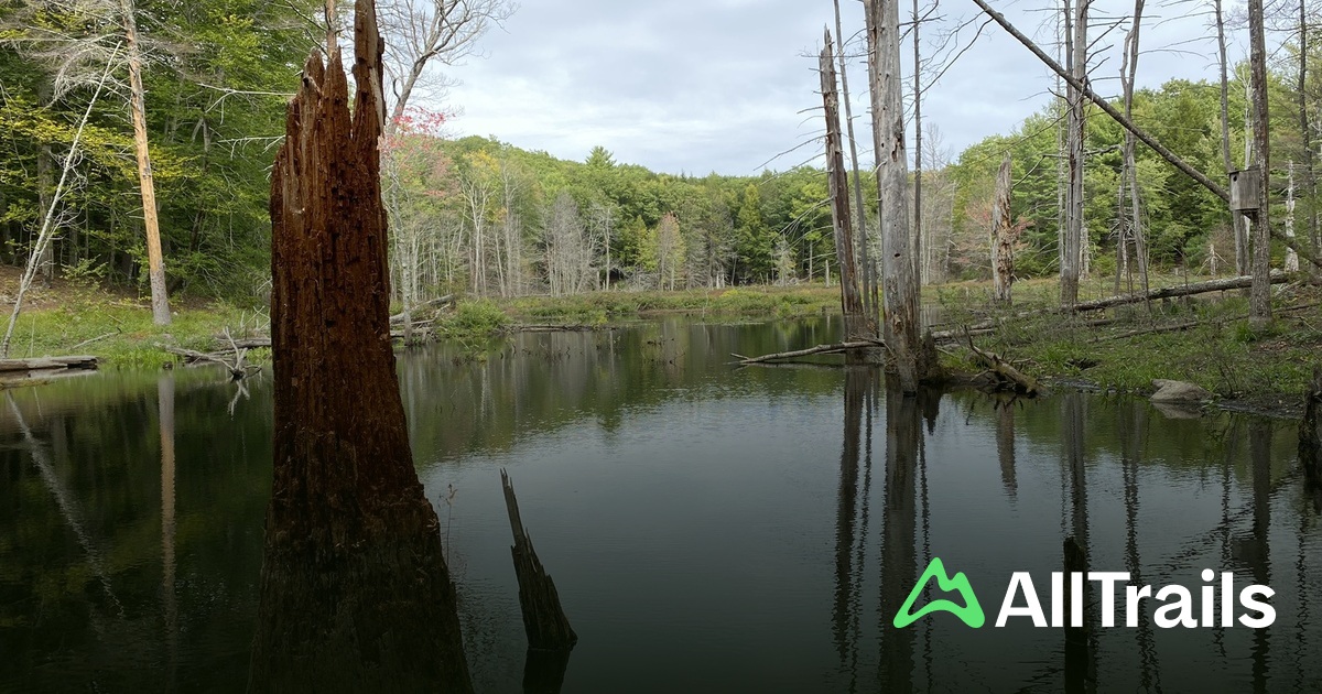 La Chance Point - hikes and trails to get you there | AllTrails