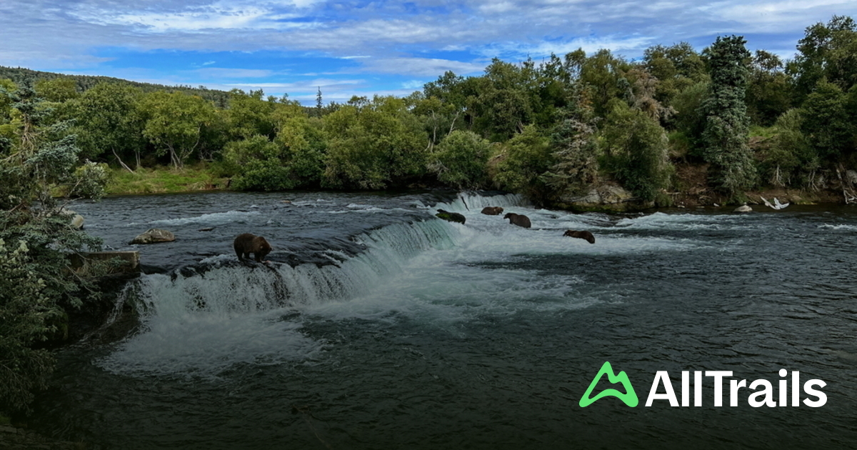 Brooks River - hikes and trails to get you there | AllTrails