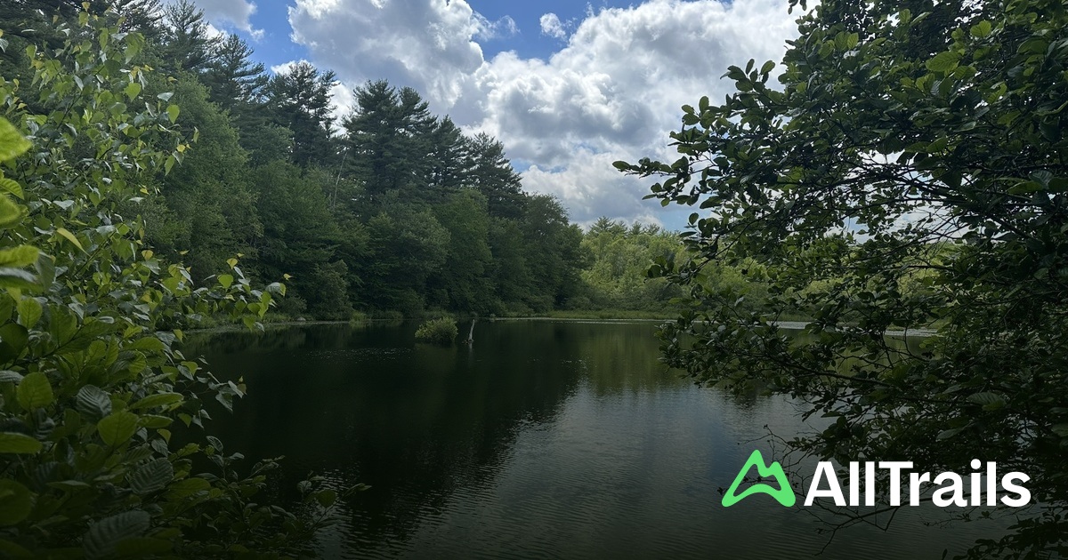 Triphammers Infinity Triphammer Pond Dam - hikes and trails to get you there | AllTrails