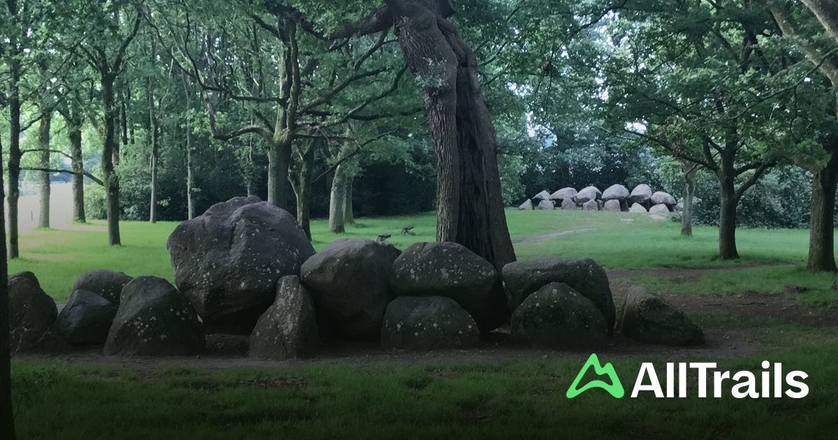 Hunnebed Rolde Hunebed D17 Rolde - hikes and trails to get you there | AllTrails