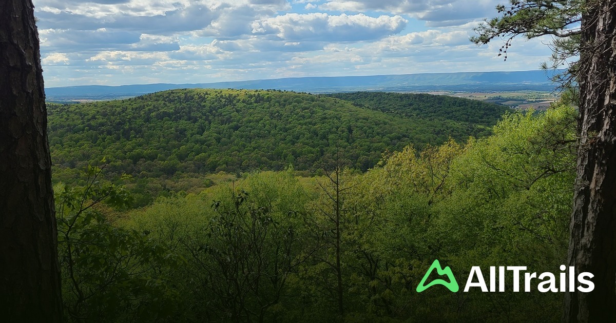 Locust Point - hikes and trails to get you there | AllTrails