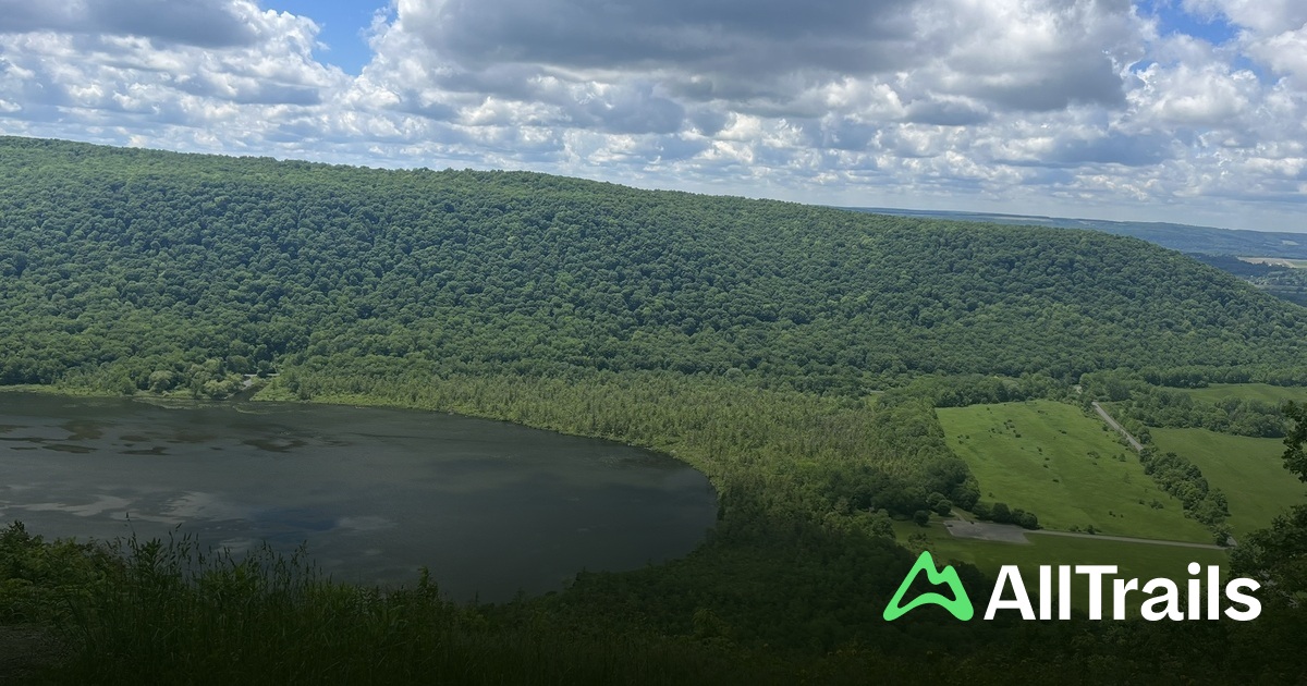 I migliori sentieri vicino a Spruce - Us New York Tully Spruce Pond 1828203 20250206234233584312 1200x630 3 41739058353