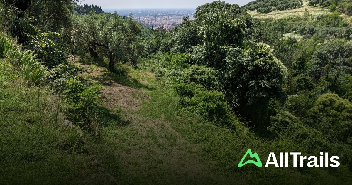 Getting Di Villa Romana di Valdonega - hikes and trails to get you there | AllTrails