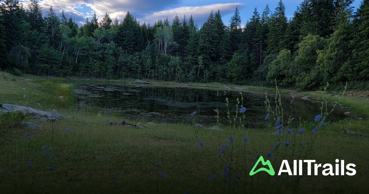 Spring Lake Colony Spring Lake - hikes and trails to get you there | AllTrails