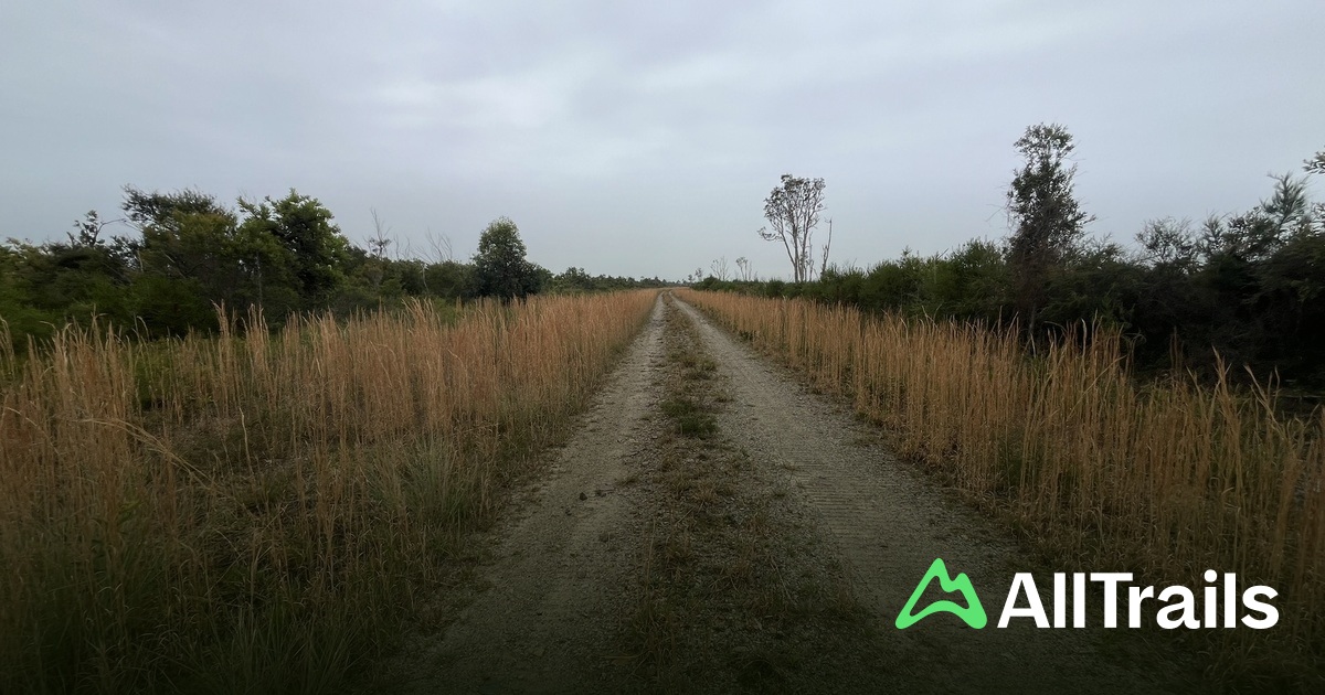 Black Rocks Camping Area - hikes and trails to get you there | AllTrails
