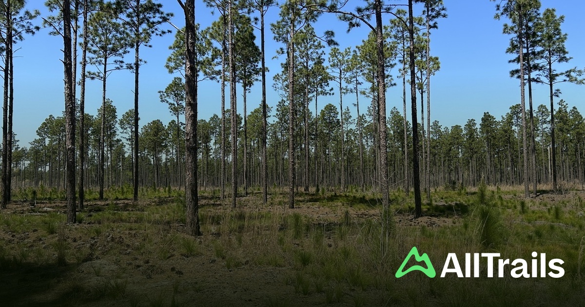 Sandy Ridge Trees Sandy Ridge Campground and RV Resort - hikes and trails to get you ...
