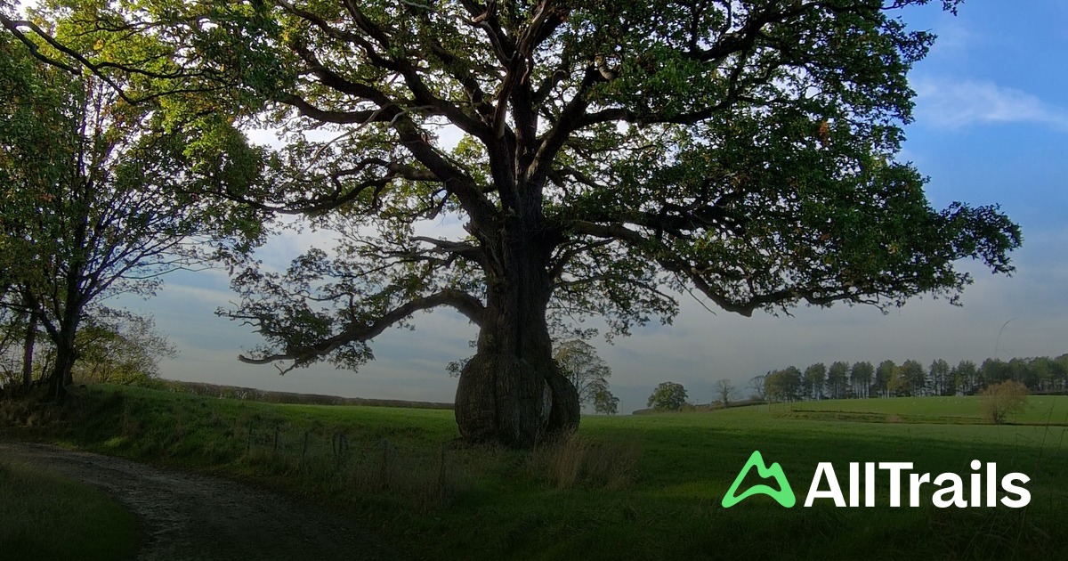 Hodder Valley - hikes and trails to get you there | AllTrails