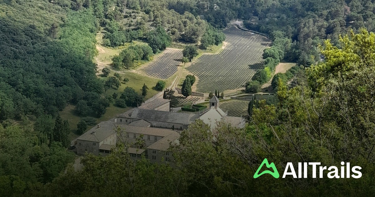 abbaye notre dame de sénanque