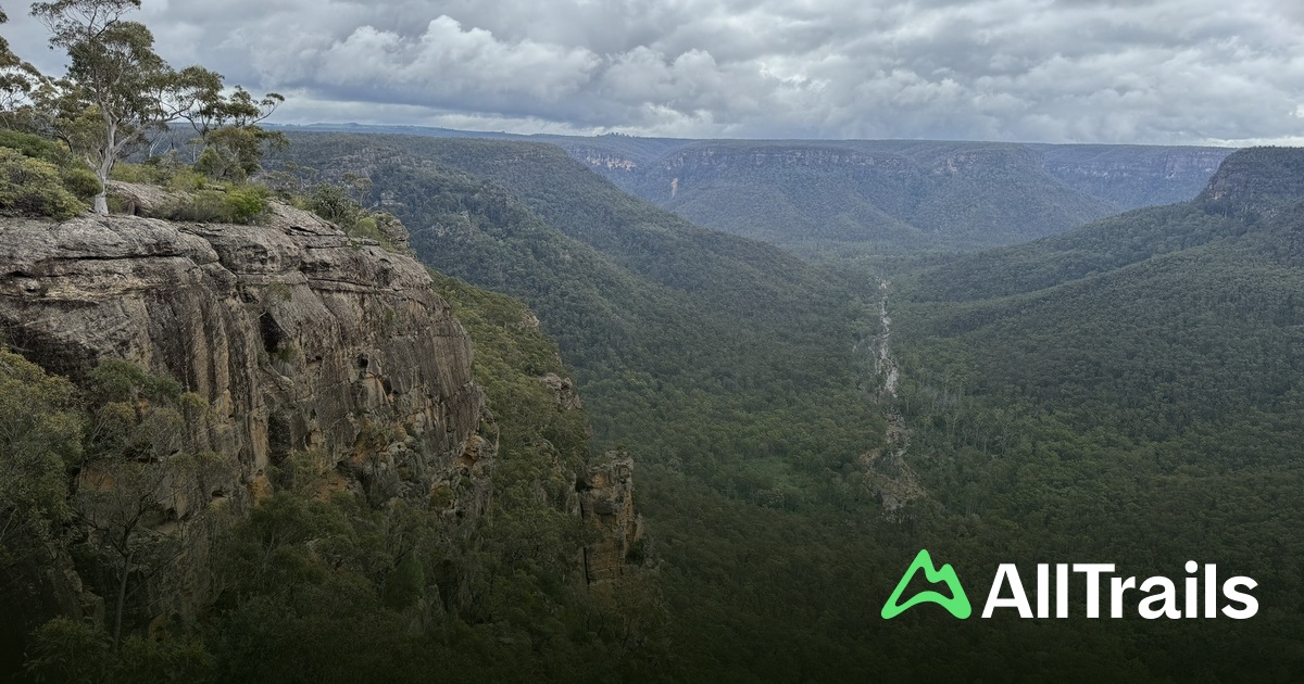 Wattle Ridge Needle Lookout - hikes and trails to get you there | AllTrails