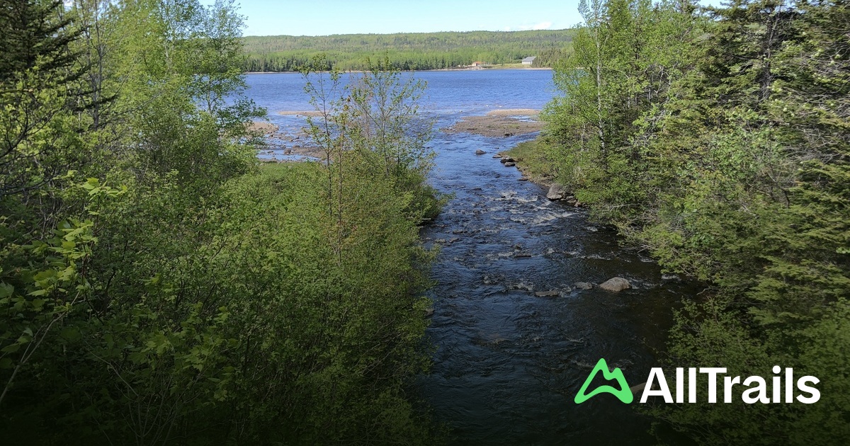 Labrador Bridge Rail Trail Bridge - hikes and trails to get you there | AllTrails