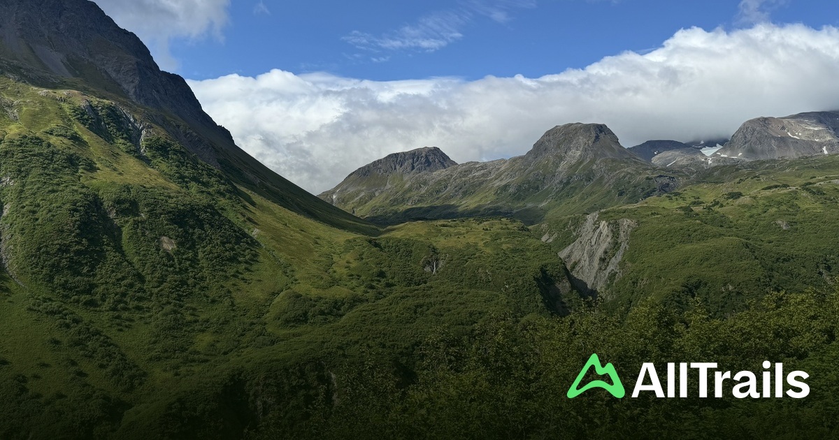 Dale Clemens Cabin hikes and - Us Alaska Seward Dale Clemens Cabin 2010285 20250622152023188302 1200x630 3 41751230437 