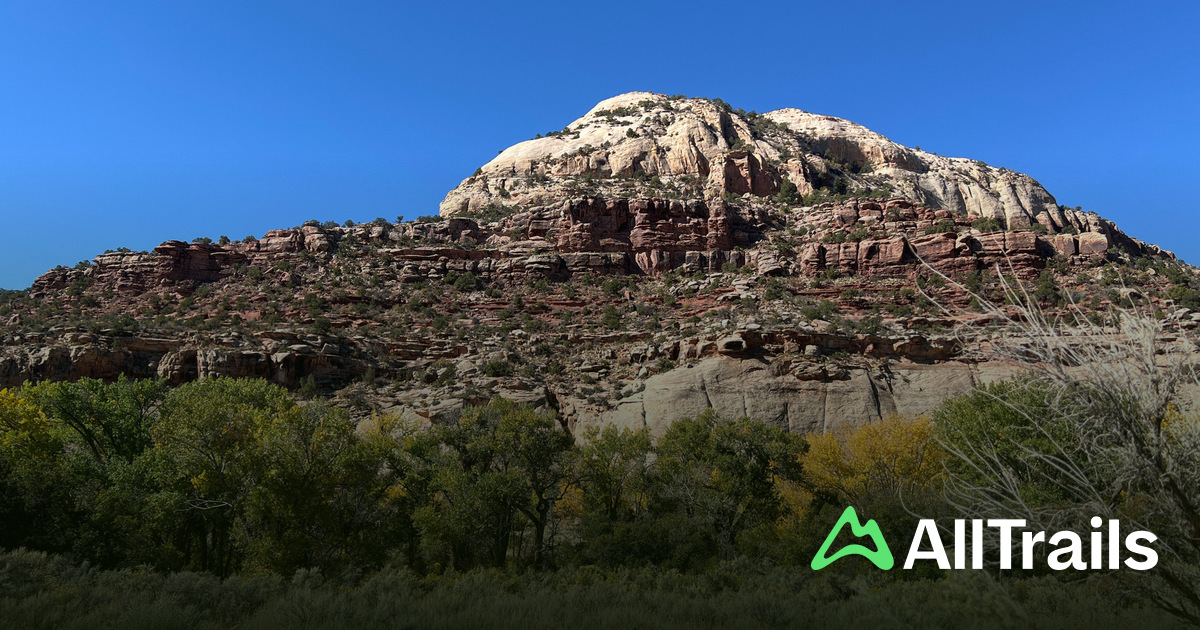 Paper Roc Utah Newspaper Rock State Historical Monument - hikes and trails to get you ...