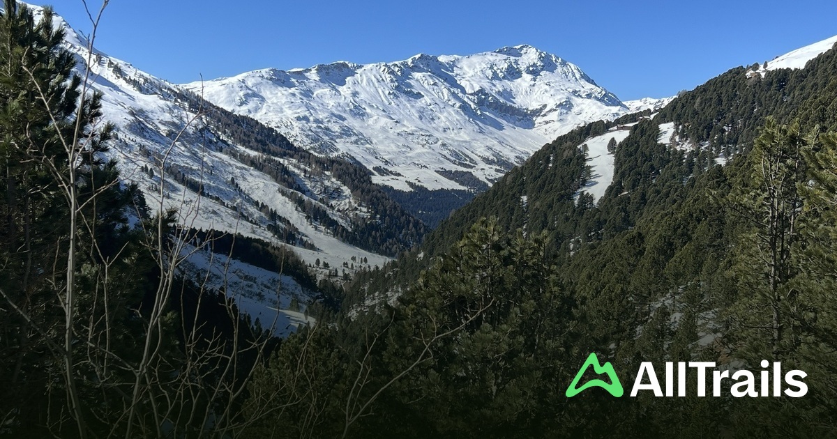 Valle del Pasquale hikes and - Italy Lombardy Valfurva Valle Del Pasquale 2038255 20250611154719086477 1200x630 3 41749739836