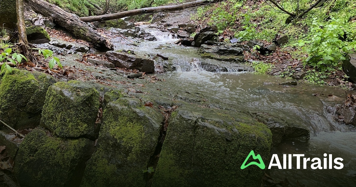 Lock 60 - hikes and trails to get you there | AllTrails