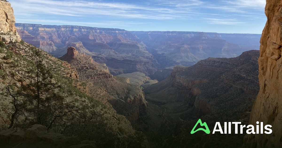 Cedar Spring - hikes and trails to get you there | AllTrails