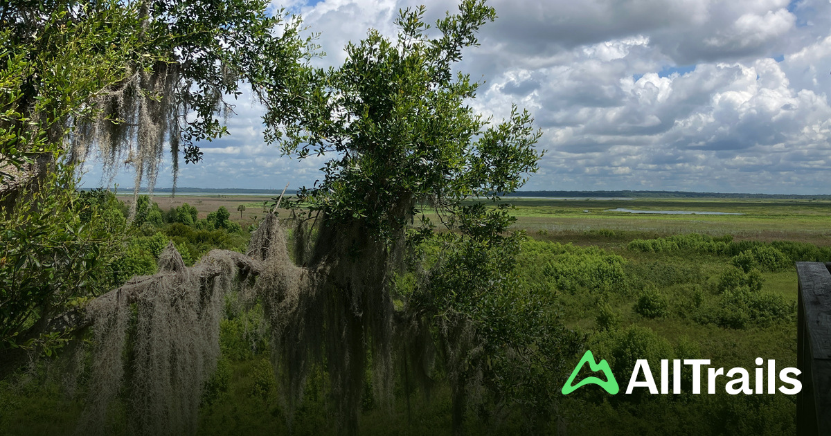 Melhores trilhos perto de Camp - Us Florida Gainesville Camp Canal Dike 2131343 20250321161241347397 1200x630 3 41742741772