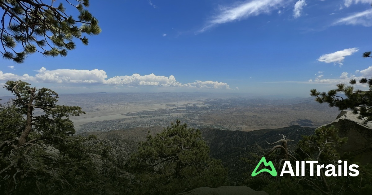 Grubbs Ridge Loop Map.pdf Grubb's Point - hikes and trails to get you there | AllTrails