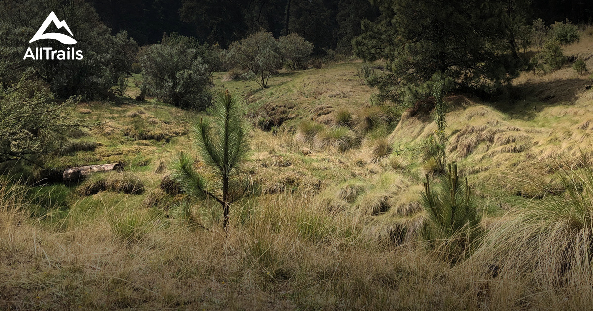 Malinal Cerro Malinal - hikes and trails to get you there | AllTrails