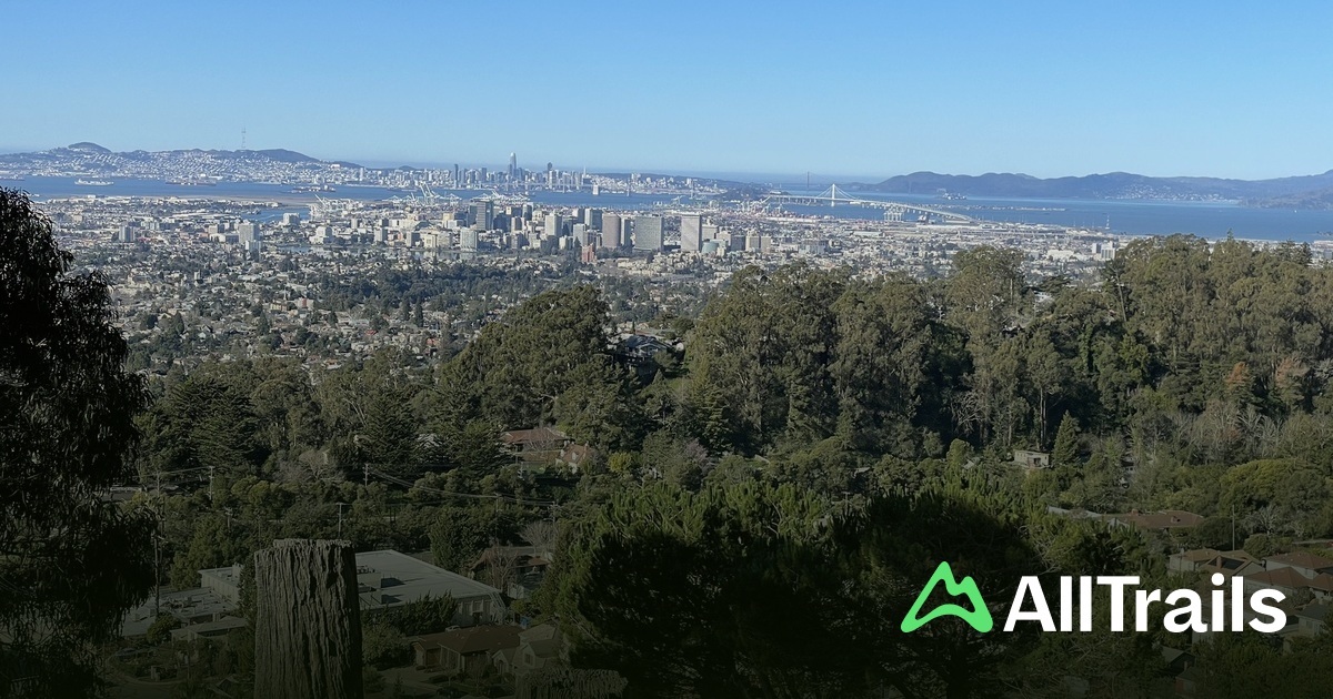 Lookout Point - hikes and trails to get you there | AllTrails